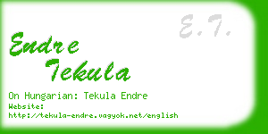 endre tekula business card
